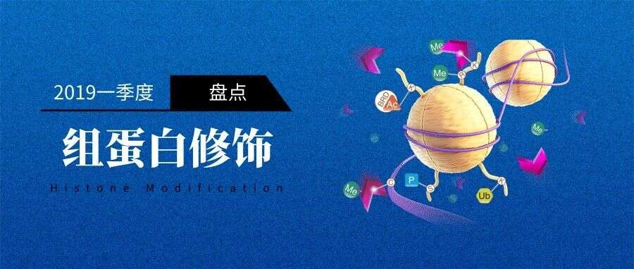 【盘点】2019年一季度组蛋白修饰重大学术研究