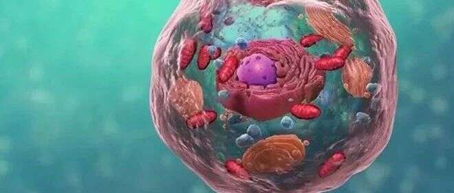Nature Reviews:Spatial Proteomics,细胞生物学研究利器