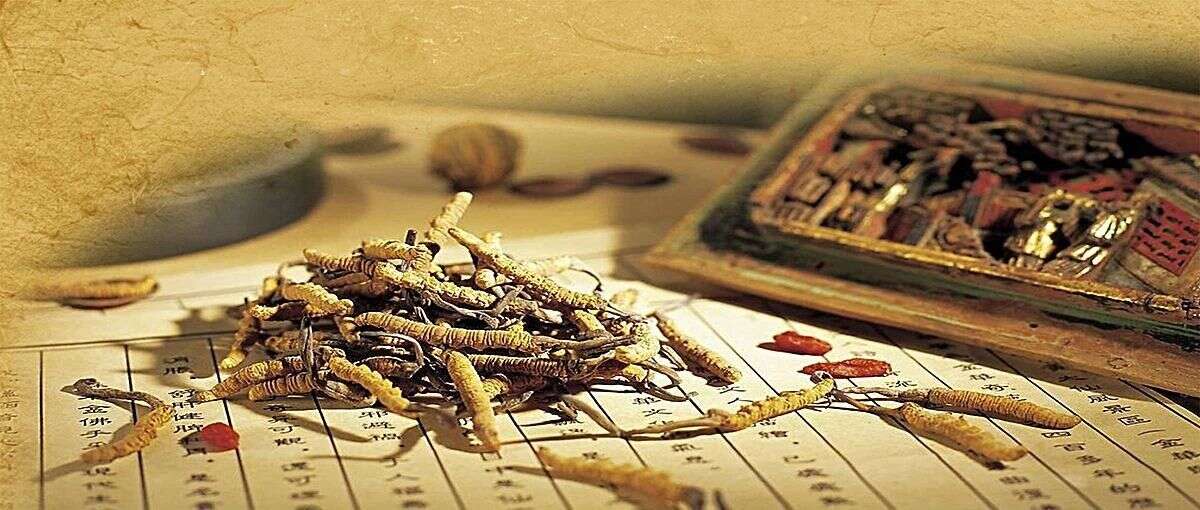 Theranostics报道:基于血液蛋白质组学的中医药精准医学研究