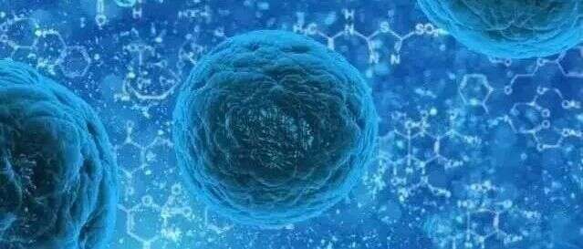 Cell Reports:蛋白质组学评估人多能基质细胞的再生能力