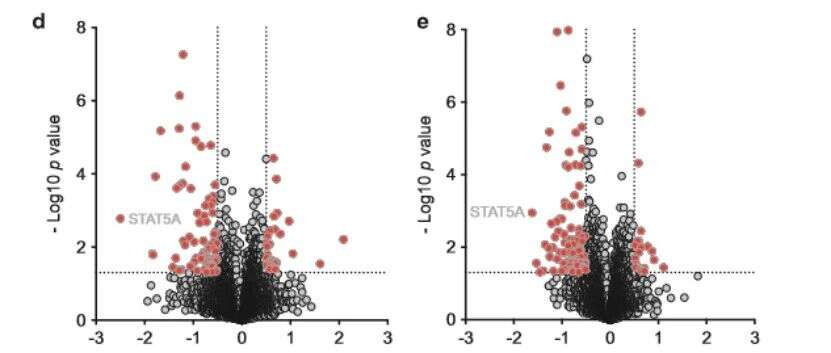 Leukemia: 磷酸化组学揭示T细胞急性淋巴细胞白血病中JAK3突变的下游信号通路
