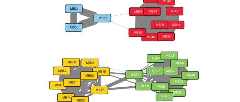 Cancer Cell:磷酸化组学揭示ERBB4-SRC信号通路与成神经管细胞瘤的关系