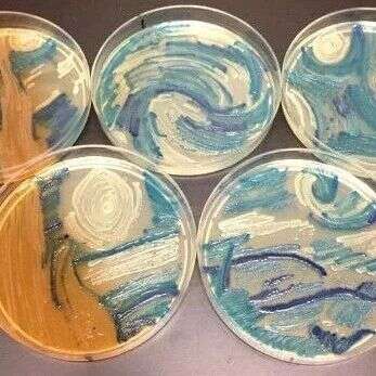 坐标南昌,2018年中国微生物学会学术年会即将开幕