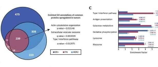 CANCER RES:临床蛋白质组学揭示乳腺癌新的分型