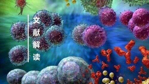 “物固无常宜”--磷酸化组学揭示CAR信号传导对细胞功能的影响