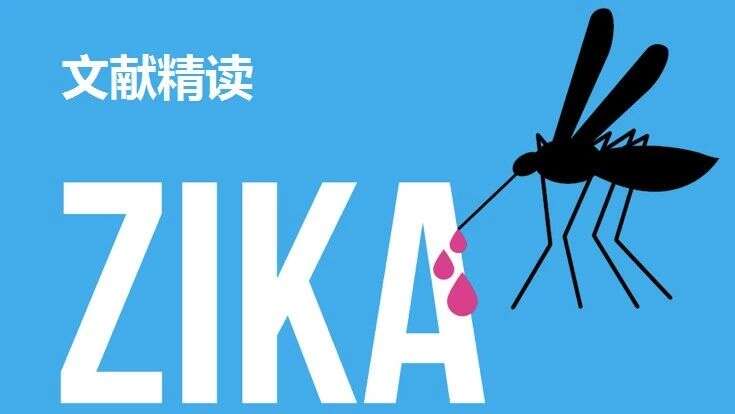 “抽丝剥茧”:利用蛋白质组学寻找Zika病毒的寄主因子