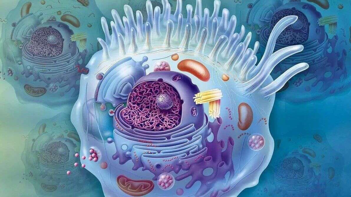 中国科学院三篇重磅研究,揭示磷酸化修饰新生物学功能