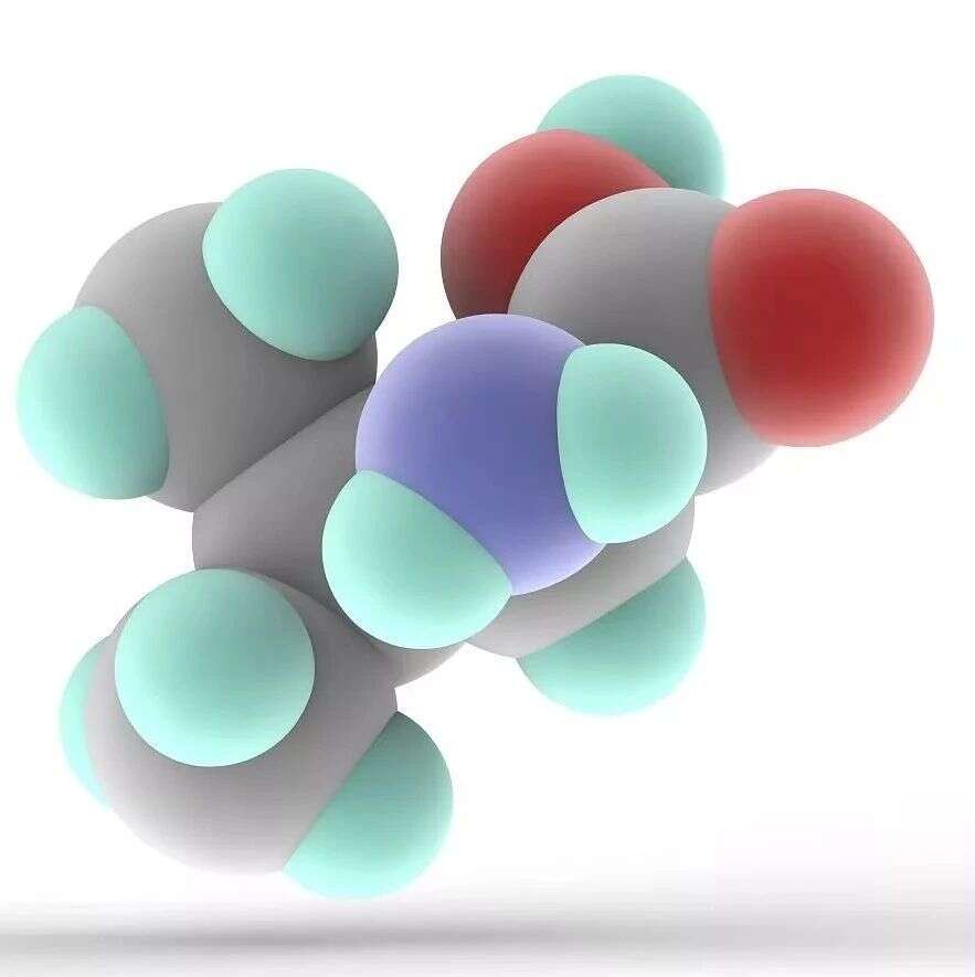 生物大分子动态修饰与化学干预重大研究计划2018年度项目指南