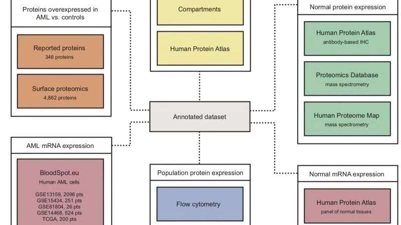 Cancer Cell :蛋白质组学筛选AML细胞免疫治疗靶点