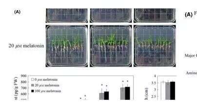 春华秋实---景杰生物与高水平植物蛋白质组学研究