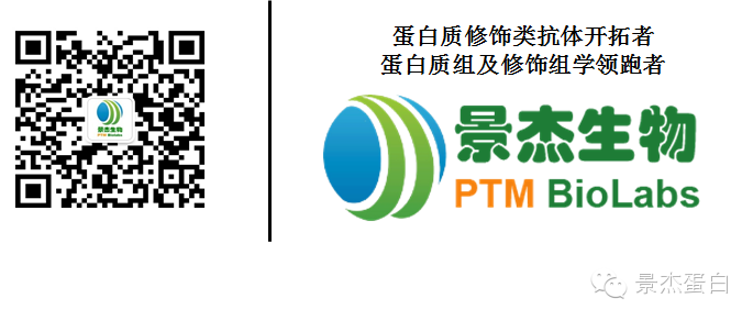 乙酰化与家蚕,不能不说的那点事