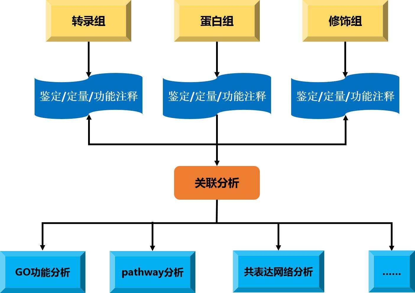 【新品来袭】多维组学联合分析,为您绘制生命科学的“全景图”