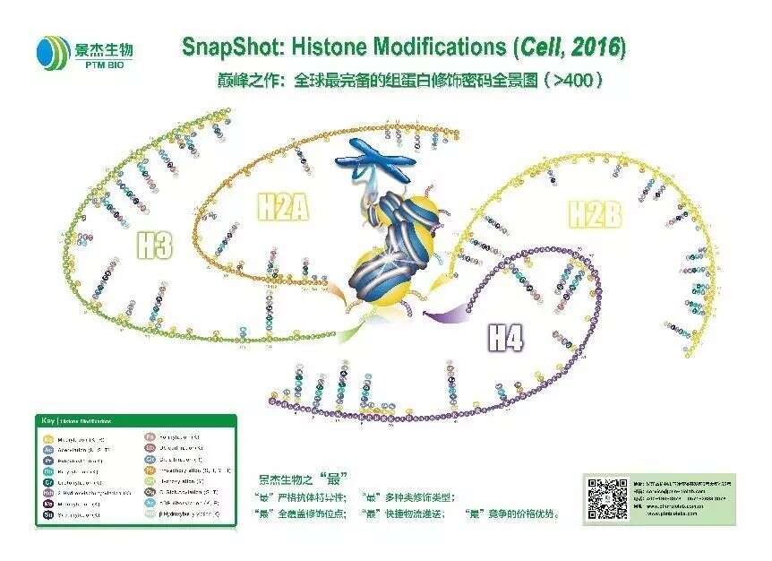 Snapshot: Histone Modifications (Cell, 2016)