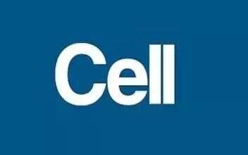 Cell杂志8月最受关注的研究热点