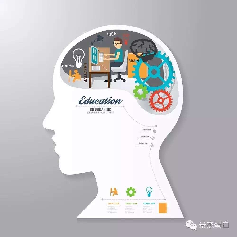 Nature Neuroscience:首次绘制大脑蛋白质谱图
