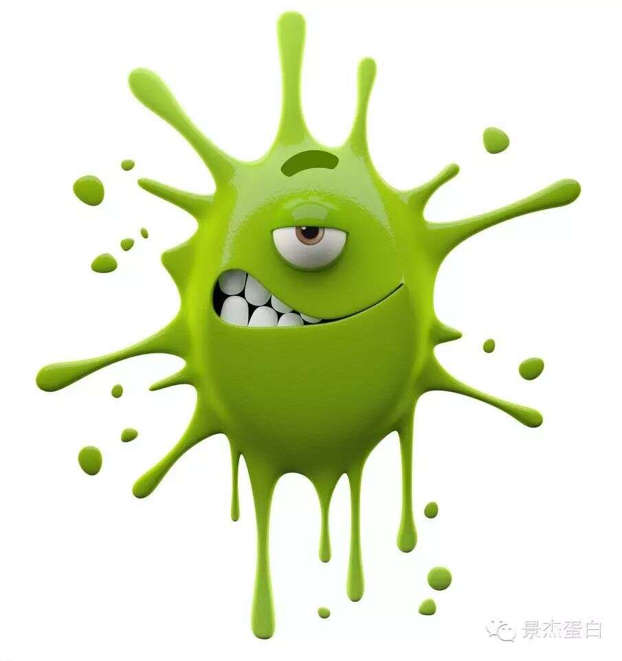 赖氨酸琥珀酰化--善于抢“头条”的蛋白质修饰新贵(四)