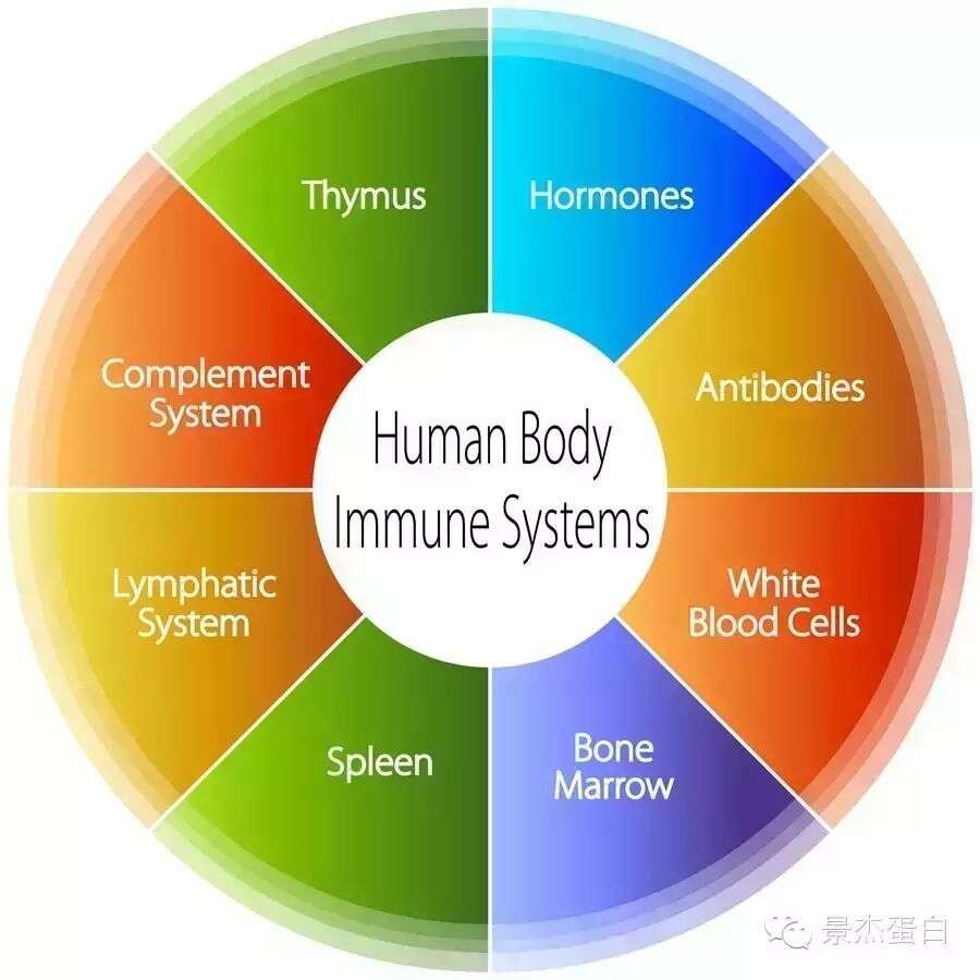 “免疫学学术会”在长春等你,你准备好了吗?