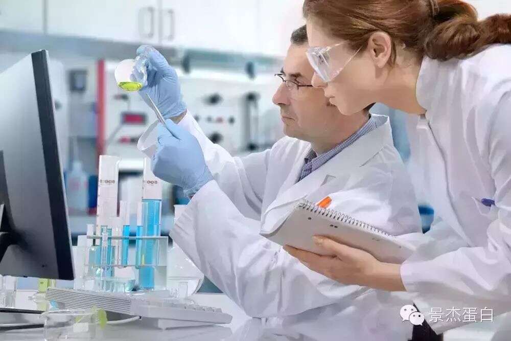 Nature子刊:揭示蛋白互作的链式反应