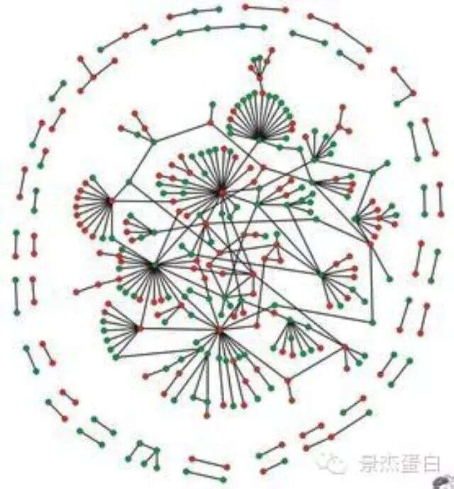 Cell:最大规模的蛋白质互作组网络图谱