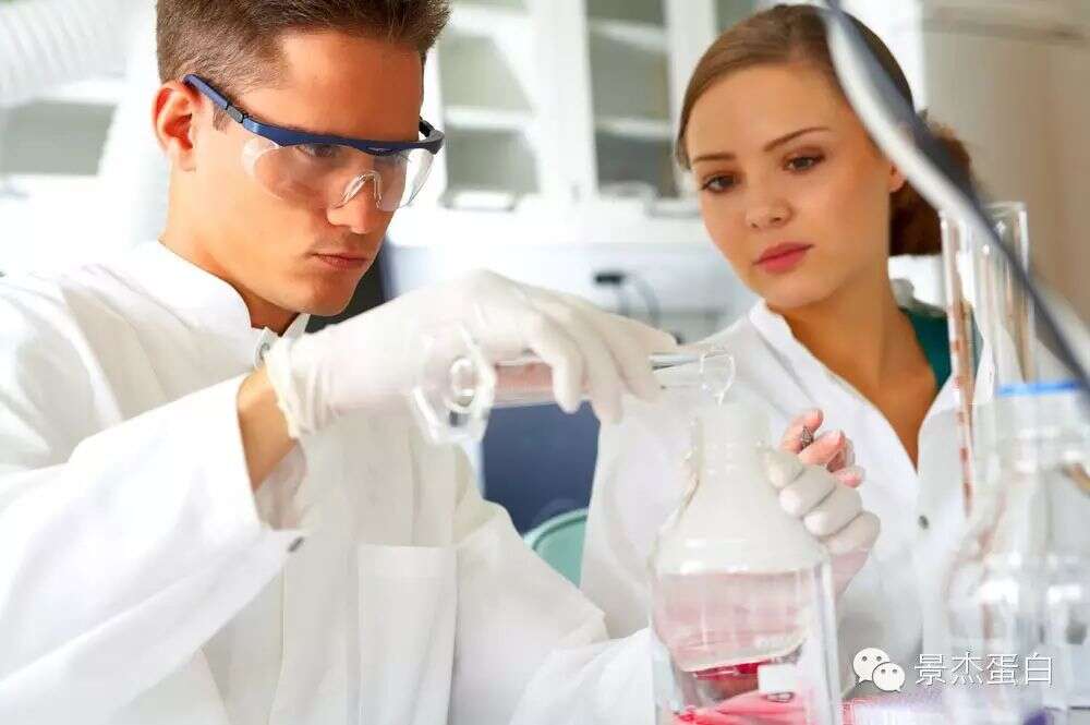 清华大学颜宁研究组在《Science》发表论文