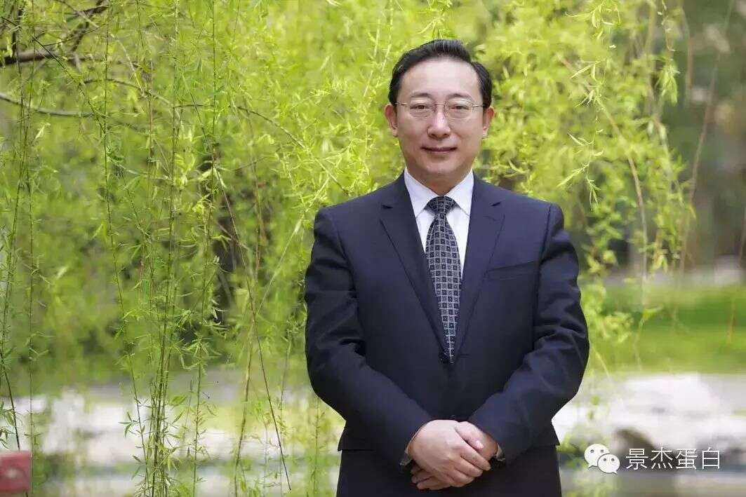 曹雪涛院士综述文章:当免疫遇上表观遗传