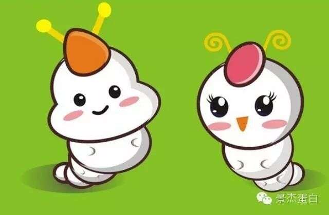 乙酰化与家蚕,不能不说的那点事