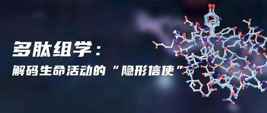 多肽组学:解码生命活动的“隐形信使”