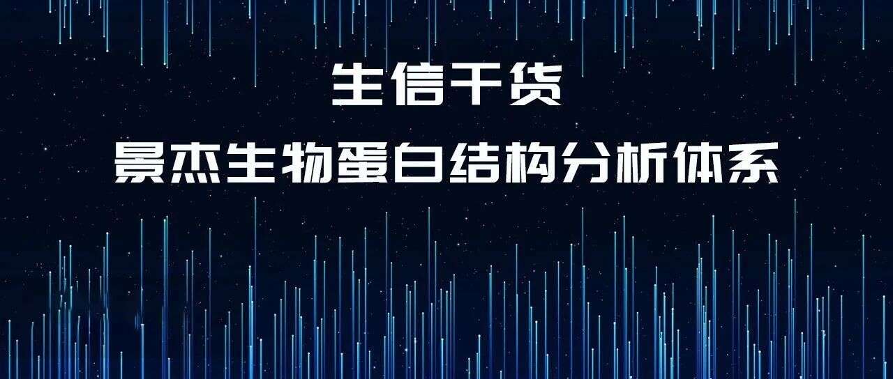 探秘蛋白质的奇妙世界:景杰生物蛋白结构分析体系