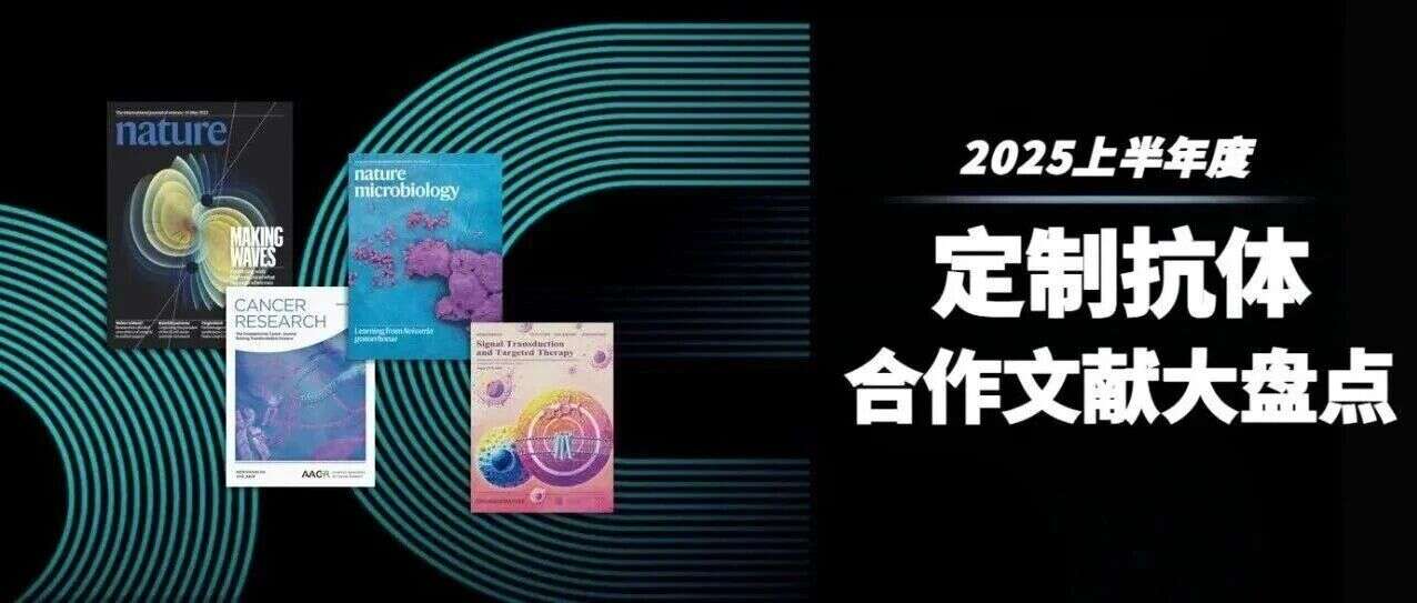 必看!定制抗体在多领域科研路上的“点睛之笔”
