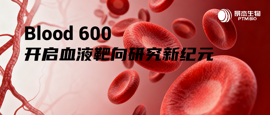生命之海的精准导航仪:Blood 600,开启靶向研究新纪元