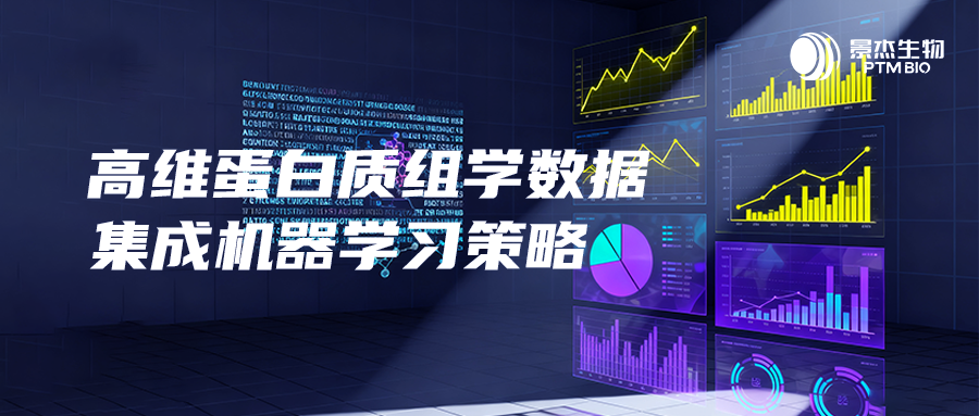 突破传统机器学习单模型性能瓶颈:高维蛋白质组学数据的集成机器学习策略