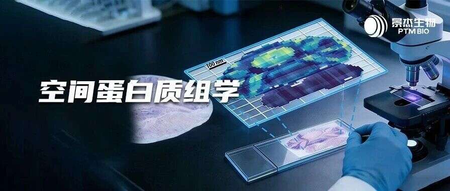 “空“局制胜 | 空间高分合作文章盘点,景杰生物邀您共绘时空蛋白新地图