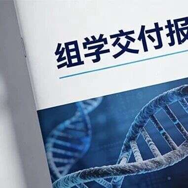 组学交付报告重磅扩容,下游分析全面升级!