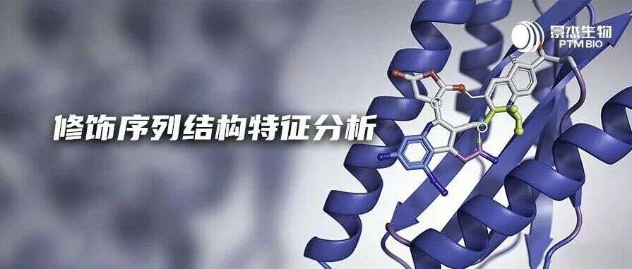 生信分析干货 | 修饰序列结构特征分析:蛋白质修饰的结构密码深度解码