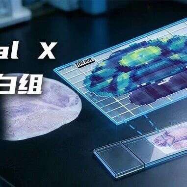 全景洞察 | Spatial X全息蛋白组突破视野局限,重绘时空蛋白新地图