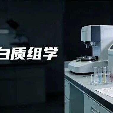 蛋白质组学:小核酸药物研发的精准“导航仪”