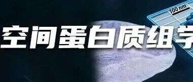 “空“局制胜 | 空间高分合作文章盘点,景杰生物邀您共绘时空蛋白新地图
