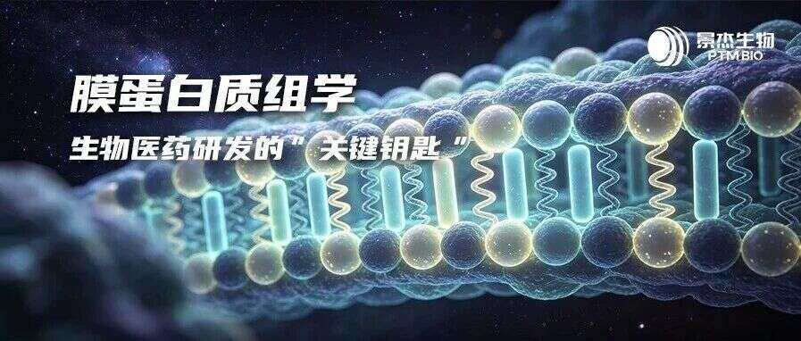 膜蛋白质组学:解锁生物医药研发新航道的“关键钥匙”