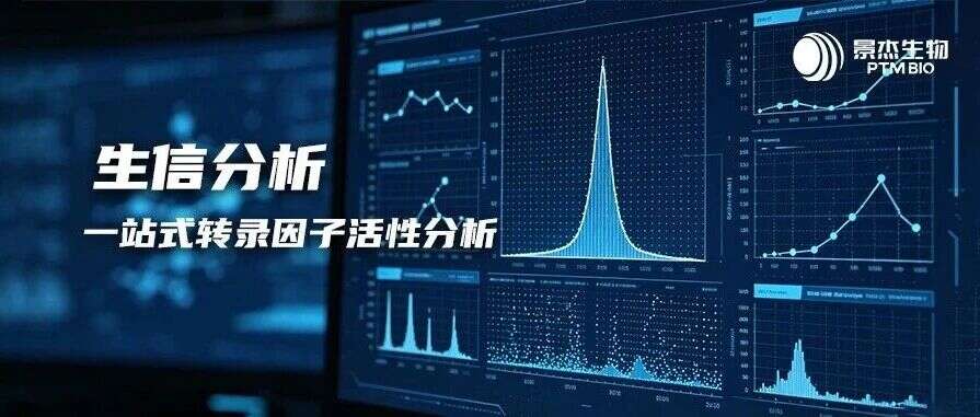 从蛋白组数据到调控网络:一站式转录因子活性分析
