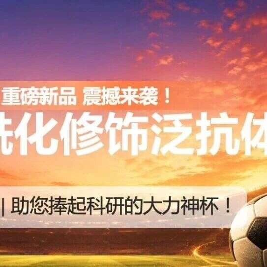 重磅新品 | 景杰丙酮酰化修饰泛抗体PTM-3201RM震撼来袭,严苛验证,表现出众!