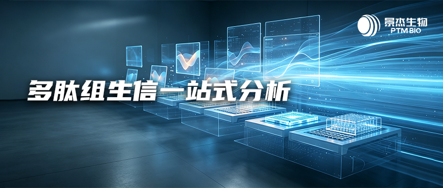 多肽组生信一站式分析:五维功能注释 + MHC I/II 类抗原呈递联合预测